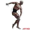ACCAPI Back Support BODYGUARD (NN326)
