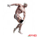 ACCAPI BODYGUARD 內層手套 (NN335)