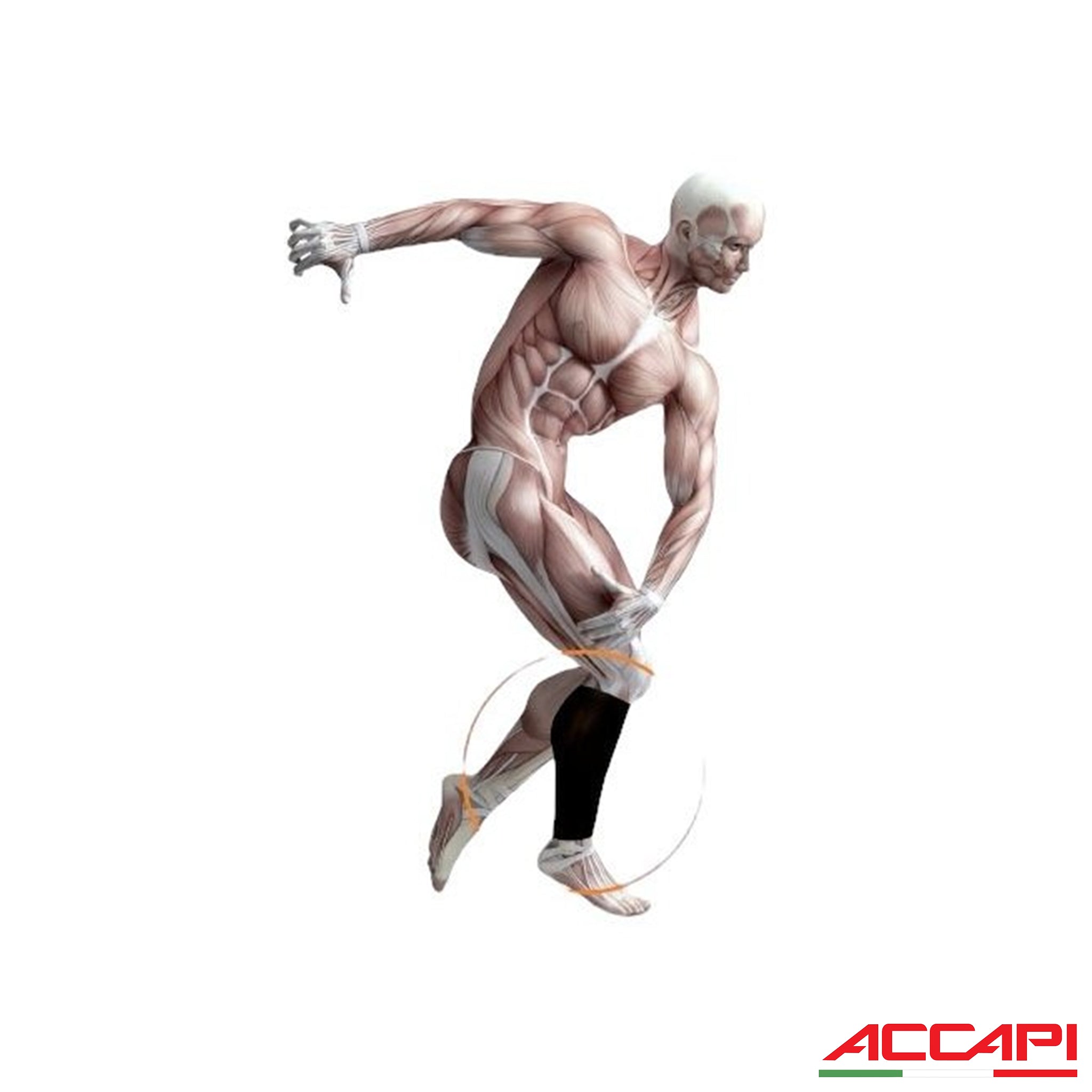 ACCAPI BODYGUARD 小腿護套 (NN560)