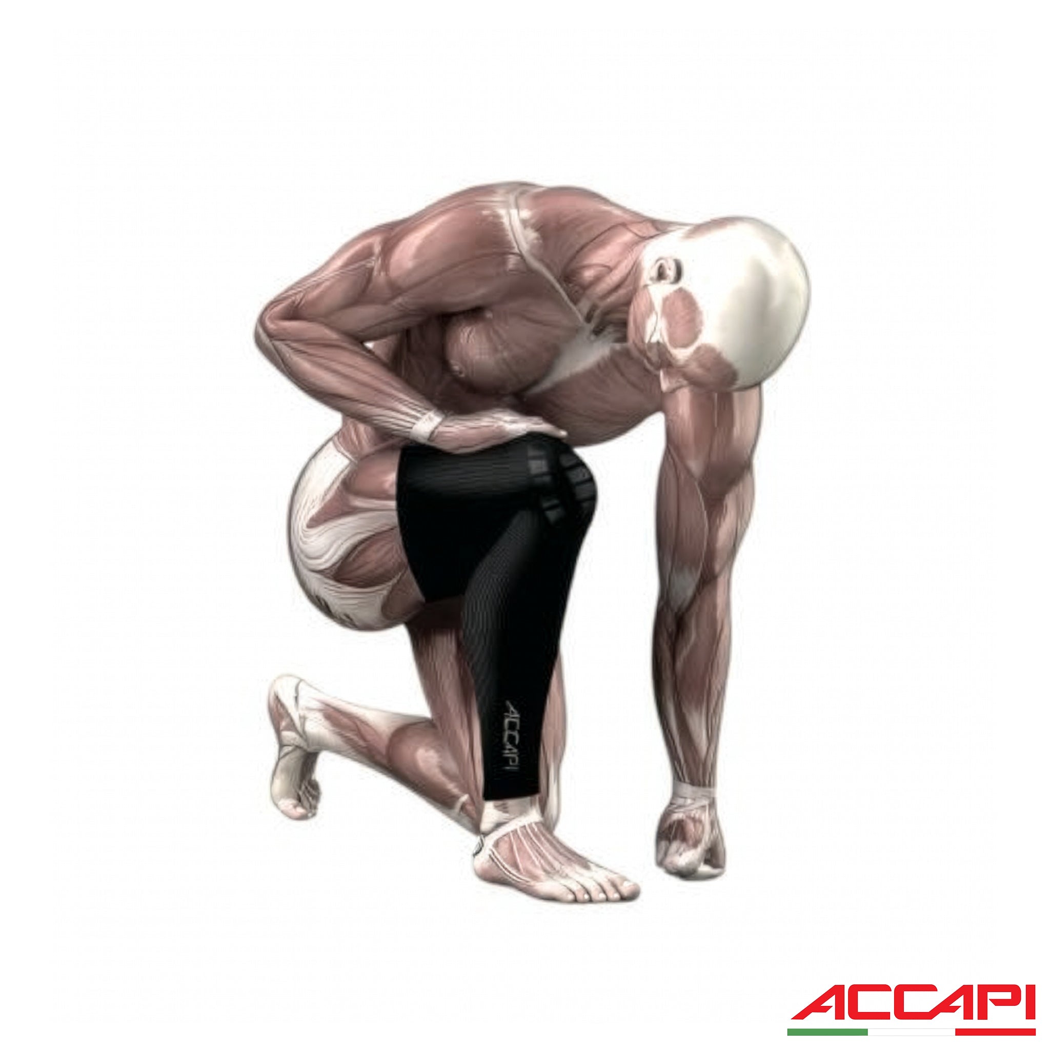 ACCAPI BODYGUARD 腿部支撐套 (NN570)
