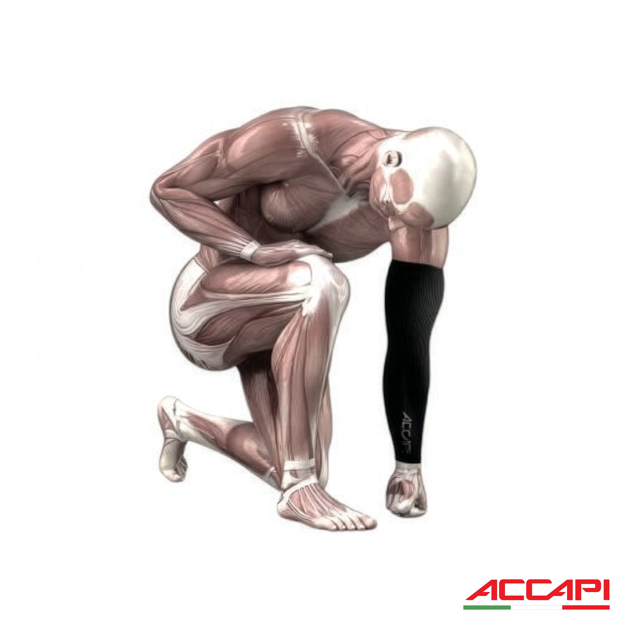 ACCAPI Arm Jet BODYGUARD (NN575)